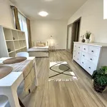 Rent 1 bedroom apartment of 29 m² in Kolín