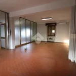 Affitto 3 camera appartamento di 220 m² in Mantova