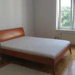 Rent 4 bedroom apartment of 135 m² in Krakow