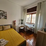 Alugar 7 quarto apartamento em Coimbra