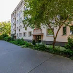 Rent 2 bedroom apartment of 63 m² in stresovice