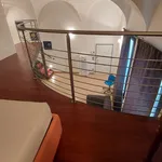 Rent 1 bedroom apartment of 100 m² in Padova