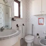 Rent a room in lisbon