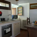 Rent 1 bedroom apartment of 60 m² in florence