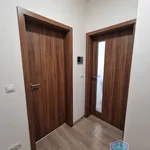 Rent 1 bedroom apartment in Plzeň-sever