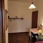 Rent 1 bedroom apartment of 18 m² in vicenza