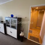 Rent 2 bedroom apartment of 45 m² in Capital City of Prague