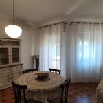 Rent 1 bedroom apartment of 60 m² in San Giovanni Rotondo