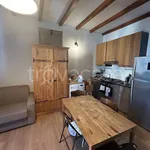 Rent 1 bedroom apartment of 30 m² in Milano