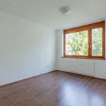 Rent 4 bedroom apartment of 158 m² in Budapest