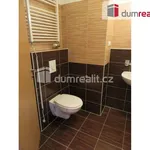 Rent 1 bedroom apartment of 36 m² in Prague