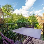 Rent 1 bedroom flat in London