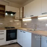 Rent 2 bedroom apartment of 58 m² in Praha