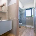 Rent 2 bedroom apartment of 50 m² in Verona