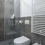 Rent 1 bedroom apartment of 40 m² in Milano