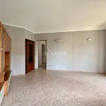 Rent 3 bedroom apartment of 55 m² in Torino