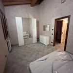 Affitto 1 camera casa di 130 m² in pincara