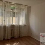 Rent 2 bedroom apartment in  Praha