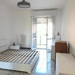 Rent 3 bedroom apartment of 100 m² in Milan