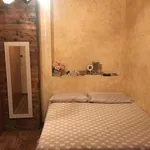 Rent 1 bedroom apartment of 45 m² in Roma