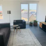 Rent 2 bedroom apartment of 861 m² in Eindhoven