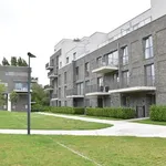 Rent 2 bedroom apartment in Gullegem