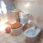 Rent 1 bedroom apartment of 51 m² in Catania