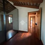 Rent 4 bedroom apartment of 110 m² in San Biagio di Callalta