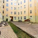 Rent 2 bedroom apartment of 68 m² in berlin