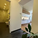 Rent 2 bedroom apartment in Praha 3