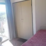 Rent 2 bedroom apartment in Roodepoort