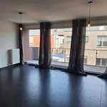 Gezellig appartement te Diepenbeek