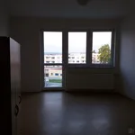 Rent 1 bedroom apartment in Jihlava