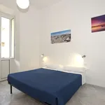 Rent 1 bedroom apartment of 30 m² in rome