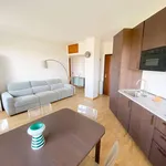 Rent 2 bedroom apartment of 55 m² in Milano