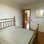 Rent 3 bedroom apartment of 63 m² in Roma