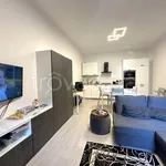 Rent 3 bedroom apartment of 87 m² in Forlì