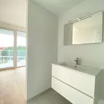 Rent 1 bedroom apartment in Leuven