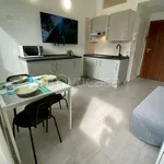 Rent 1 bedroom apartment of 26 m² in Milano