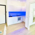 Rent 2 bedroom apartment of 50 m² in L'Aquila