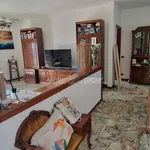 Rent 5 bedroom apartment of 100 m² in Massa