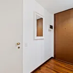 Rent 1 bedroom apartment in Milan