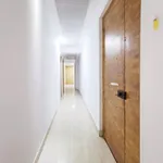 Alquilar 8 dormitorio apartamento en Madrid