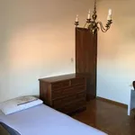 Rent a room in bologna