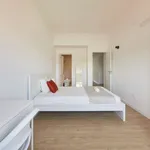 Rent a room in lisbon