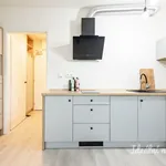 Rent 1 bedroom apartment of 25 m² in Capital City of Prague