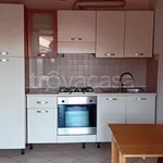 Rent 2 bedroom apartment of 49 m² in Biella