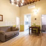 Rent 3 bedroom apartment of 60 m² in Firenze