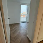 Rent 3 bedroom apartment of 105 m² in Amsterdam