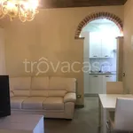 Rent 1 bedroom apartment of 40 m² in Cremona